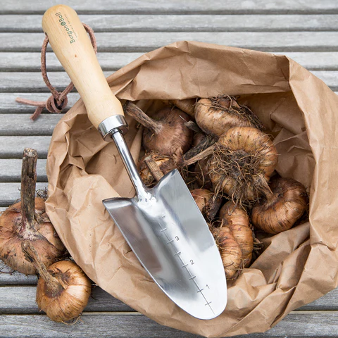 Burgon & Ball Transplanter - RHS Endorsed