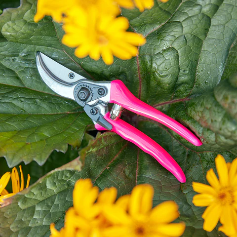 Burgon & Ball Fluorescent Pink Bypass Secateurs