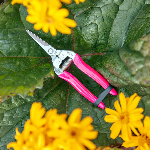 Burgon & Ball FloraBrite® Pink Flower & Fruit Snip