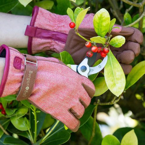 Burgon & Ball Red Tweed Gloves