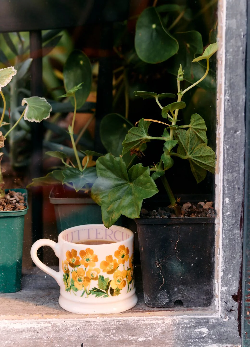 Emma Bridgewater Emma Bridgewater Flowers Buttercup Small Mug