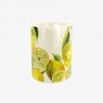 Emma Bridgewater Emma Bridgewater Raspberries 1/2 Pint Mug