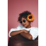Powder Pamela Sunglasses In Frosted Beige
