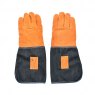 Fallen Fruits Denim Garden Gloves Short