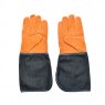 Fallen Fruits Denim Garden Gloves Short