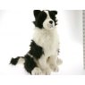 Border Collie Door Stop