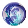 Abstract Artistic Impressions Irises Paperweight