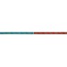Peacock Feather Ribbon