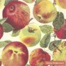Emma Bridgewater Napkins Apples