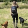 Sophie Allport Bees Folding Rucksack