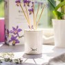 Royal Horticultural Society RHS Oriental Orchid & Cedar Diffuser