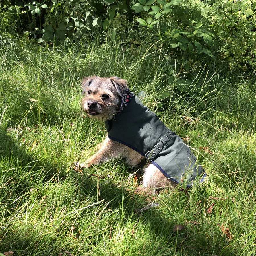 William Morris Waxed Cotton Dog Coat