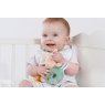 Hundred Acre Wood Piglet Ring Rattle