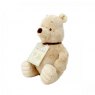 Classic Winnie The Pooh Soft Toy