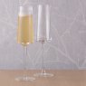 Anton Studio Designs Empire Champagne Flutes Set of 2