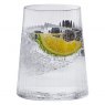 Anton Studio Designs Empire DOF Tumblers Set of 2