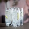 Dartington Crystal Cheers Tumblers Set of 4