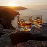 Dartington Crystal Dartington Crystal Dimple Double Old Fashioned Tumbler Pair