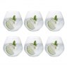 Dartington Crystal Stemless Copa Party Set of 6