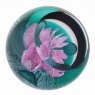 Caithness Glass Paperweight - Royal Botanic Garden Rhododendron Ferrugineum