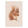 Ben Rothery Red Squirrel Greeting Card
