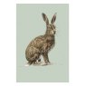 Ben Rothery Hare Greeting Card