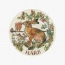 Emma Bridgewater In The Woods Hare 8.5 Inch Plate