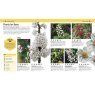 The Bee Book