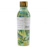 Arthouse Unlimited Dinosaur Insulated Water Bottle 500ml