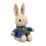 Talking Peter Rabbit Soft Toy