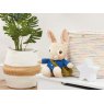 Peter Rabbit™ Talking Peter Rabbit Soft Toy
