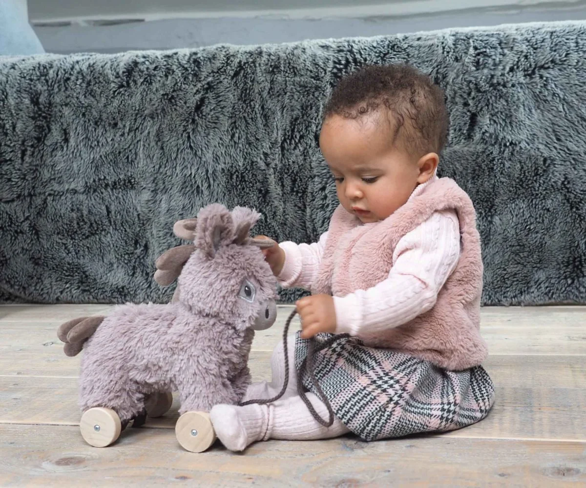 Norbert Donkey Pull Along Toy