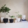 Urban Nature Culture Deco Pot Honey White