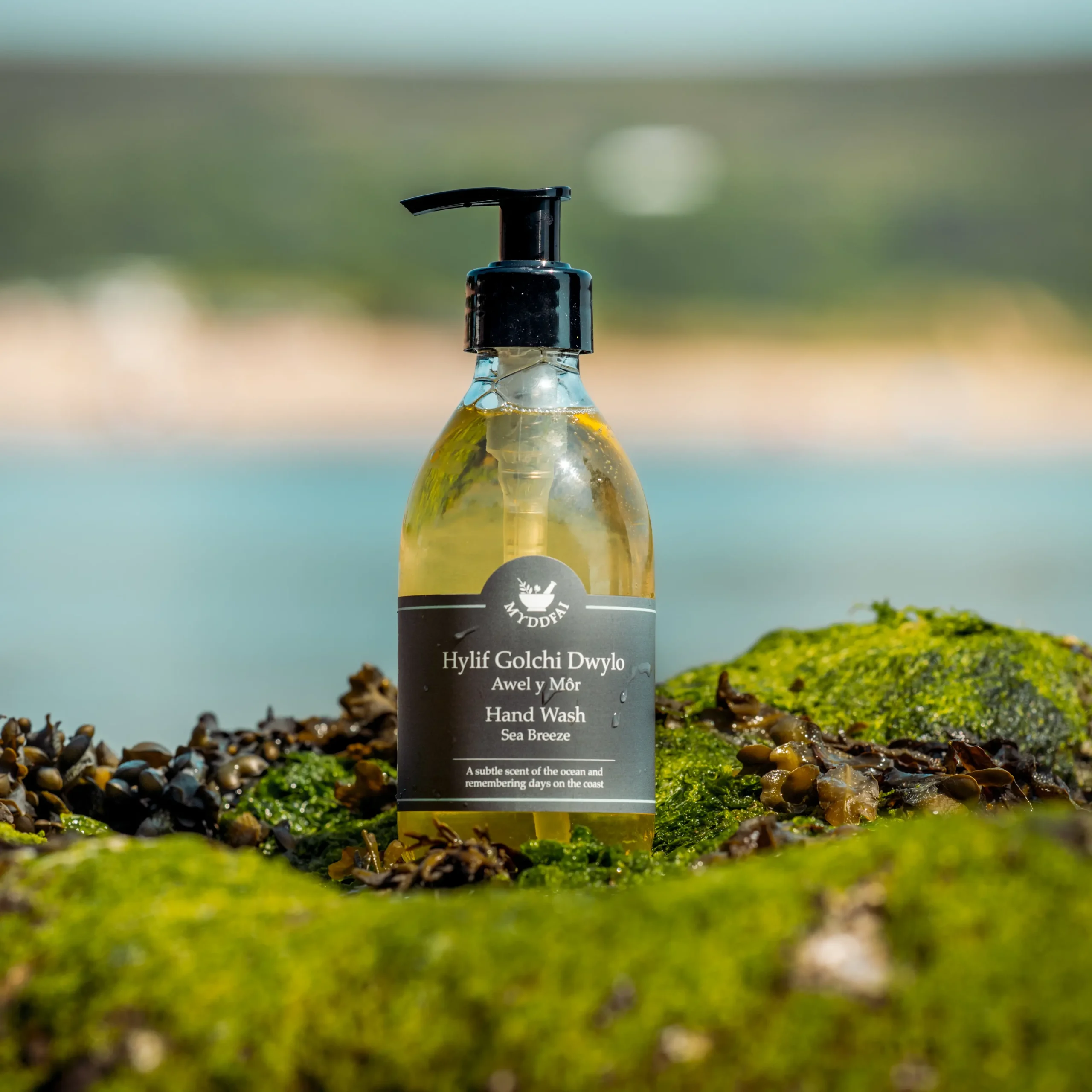 Myddfai  Myddfai Awel Y Mor / Sea Breeze Hand Wash 250ml