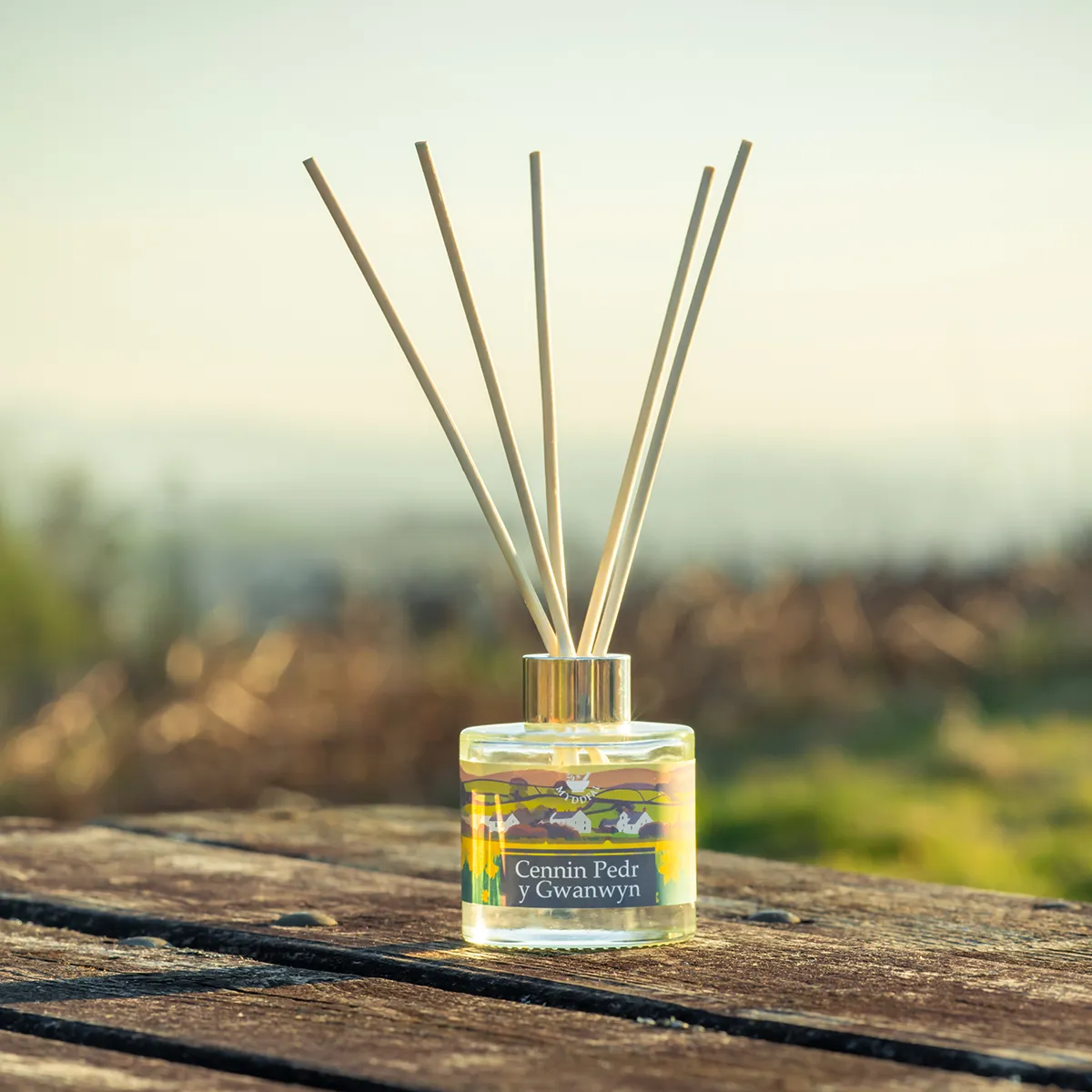 Myddfai  Myddfai Cennin Pedr y Gwanwyn / Spring Daffodil Reed Diffuser