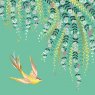 Sara Miller Greetings Card - Swooping Bird