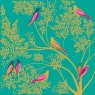 Sara Miller Greetings Card - Birds In Tree