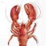 IHR Napkins Lobster Coral