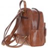 Ashwood Leather Backpack Honey