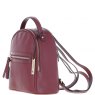 Ashwood Small Leather Backpack - Wine