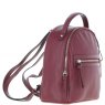 Ashwood Small Leather Backpack - Wine