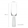 Anton Studio Designs Oslo Champagne Flutes Frost Set of 2