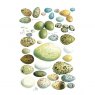 Wildlife by Mouse Birds Eggs Card