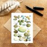 Wildlife by Mouse Birds Eggs Card