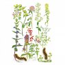 Wildlife by Mouse May Wildflowers Card