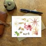 Wildlife by Mouse Rockpool Creatures Card