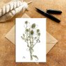 Wildlife by Mouse Winter Teasel Card