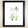 Wildlife by Mouse Four Miniature Iris Print