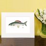 Wildlife by Mouse Grayling Print