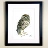Wildlife by Mouse Little Owl Print